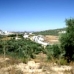 Olvera property: Land in Olvera 216758