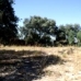 Olvera property: Cadiz Land, Spain 216758