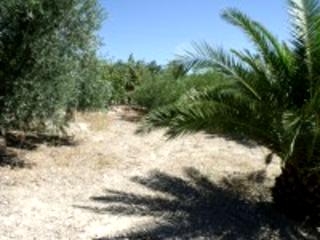 Olvera property: Land with bedroom in Olvera 216760