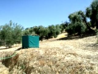 Olvera property: Cadiz Land 216761