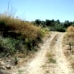 Olvera property: bedroom Land in Olvera, Spain 216761