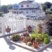 Mil Palmeras property: 2 bedroom Apartment in Alicante 219996