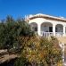 L'Alfas Del Pi property: Beautiful Villa for sale in Alicante 220048