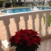 Playa Flamenca property: Alicante Villa, Spain 224010