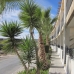 San Miguel De Salinas property: San Miguel De Salinas Townhome, Spain 224136