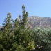 Javea property: Beautiful Villa for sale in Javea 231361