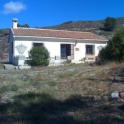 Purias property: Farmhouse for sale in Purias 233678