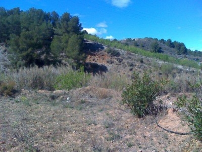 Purias property: Farmhouse with 4 bedroom in Purias, Spain 233678