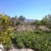 Tabernas property: 5 bedroom Farmhouse in Almeria 235921