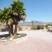 Hondon De Los Frailes property: Beautiful Villa for sale in Hondon De Los Frailes 236844