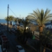 Torrevieja property: Alicante, Spain Apartment 237539