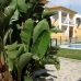 Cuevas De Almanzora property: 2 bedroom Apartment in Almeria 239163