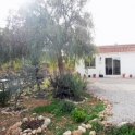 Hondon De Los Frailes property: Finca for sale in Hondon De Los Frailes 239198