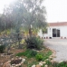 Hondon De Los Frailes property: Alicante, Spain Finca 239198