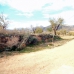 Hondon De Los Frailes property: 3 bedroom Finca in Hondon De Los Frailes, Spain 239198