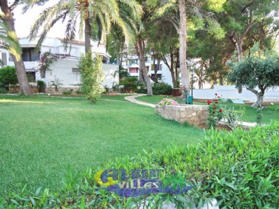 Alcossebre property: Castellon Apartment 239574