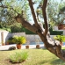 Alcossebre property:  Villa in Castellon 239631