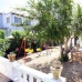 Denia property: Alicante Villa, Spain 239806