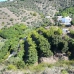 Frigiliana property: 2 bedroom Farmhouse in Malaga 239916