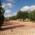 Hondon de las Nieves property: Villa in Hondon de las Nieves 239955