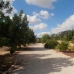 Hondon de las Nieves property: Hondon de las Nieves Villa, Spain 239955