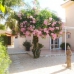 Hondon de las Nieves property: Hondon de las Nieves, Spain Villa 239960