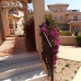 Villamartin property: 2 bedroom Semi-Detached in Alicante 240324