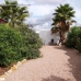 Hondon de las Nieves property:  Villa in Alicante 240355