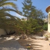 Alcalali property:  Villa in Alicante 241346