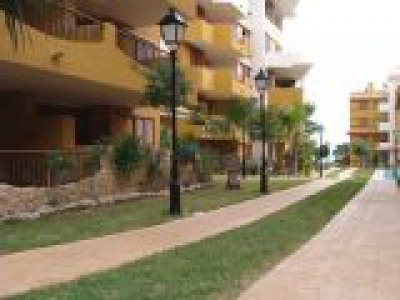 Punta Prima property: Apartment with 2 bedroom in Punta Prima, Spain 241962