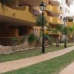 Punta Prima property: 2 bedroom Apartment in Alicante 241962