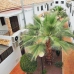 San Miguel De Salinas property: Alicante Apartment, Spain 242102