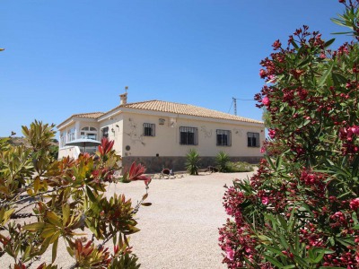 Hondon De Los Frailes property: Villa for sale in Hondon De Los Frailes, Spain 242132