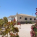 Hondon De Los Frailes property: Hondon De Los Frailes, Spain Villa 242132