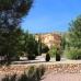 Hondon de las Nieves property: Hondon de las Nieves, Spain Villa 242137