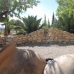 Hondon de las Nieves property: Villa in Hondon de las Nieves 242137