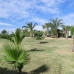 Calig property: Beautiful Villa for sale in Castellon 242447