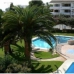 Alcossebre property: 2 bedroom Apartment in Castellon 242492