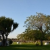 Vejer De La Frontera property:  Farmhouse in Cadiz 243199