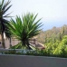 El Paraiso property: El Paraiso, Spain Apartment 244073