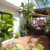 Marbella property: Marbella Apartment, Spain 245165