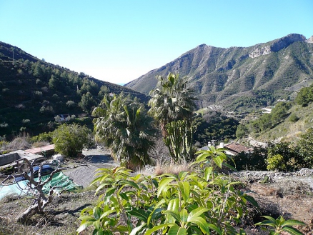 Land for sale in town, Malaga 247287