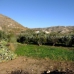 Arboleas property:  Villa in Almeria 247444