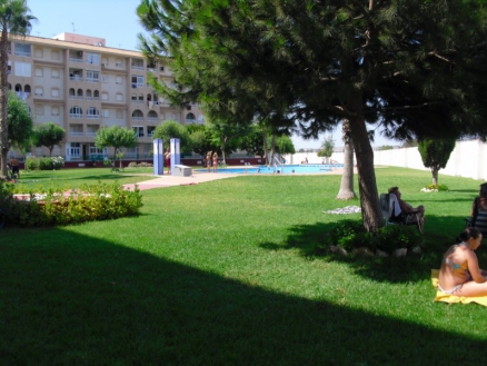 Torrevieja property: Apartment in Alicante for sale 247623