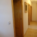 Torrevieja property: Apartment in Torrevieja 247661