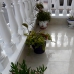 Torrevieja property: 3 bedroom Quad in Alicante 247709