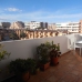 Punta Prima property:  Apartment in Alicante 247734