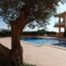 Villamartin property: Beautiful Quad for sale in Alicante 247739