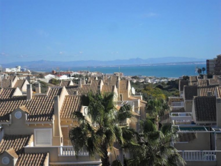 Torrevieja property: Alicante Apartment 247810