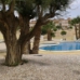 Villamartin property:  Bungalow in Alicante 247834